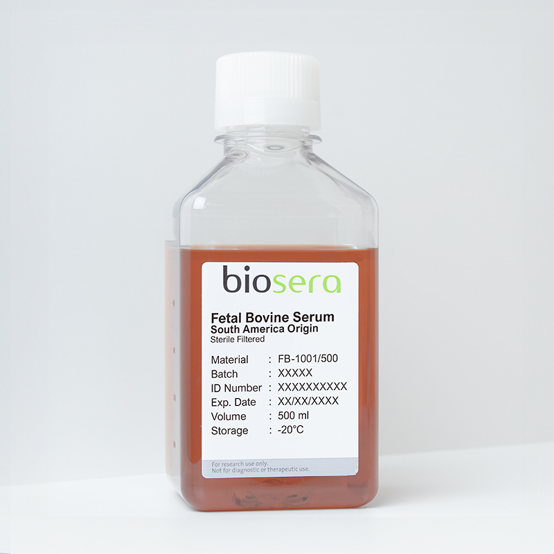 
Fetal Bovine Serum (FBS) South America