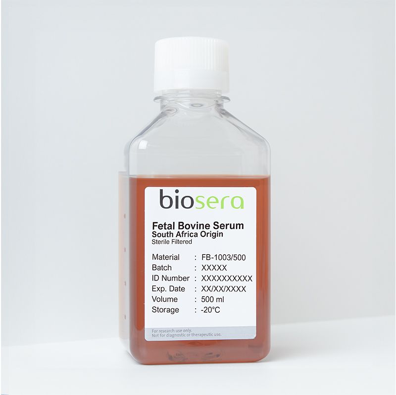 
Fetal Bovine Serum (FBS) South Africa