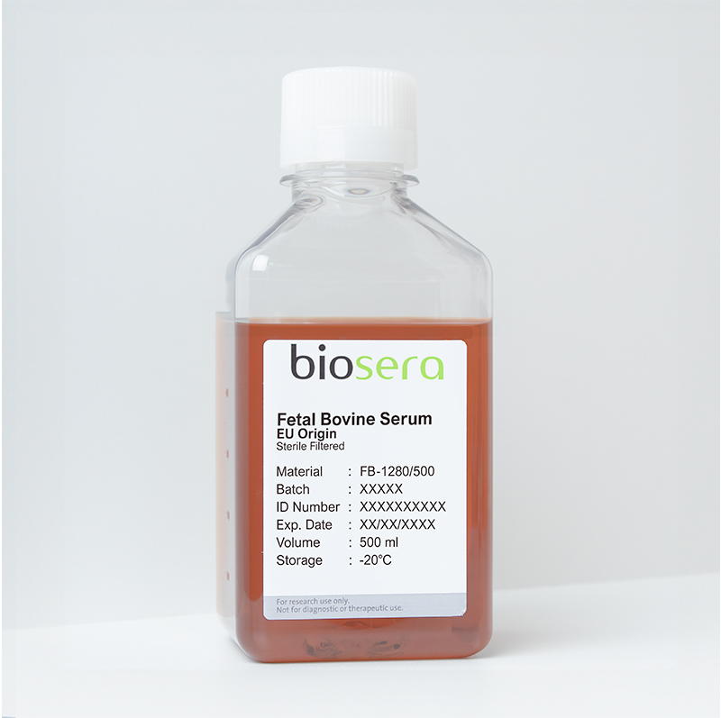 Fetal Bovine Serum (FBS) French