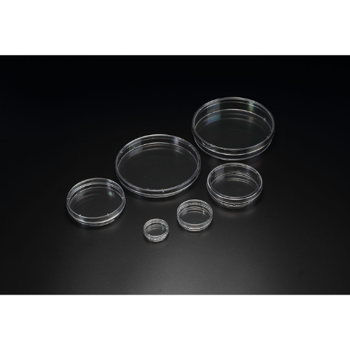 Cell Culture Dish